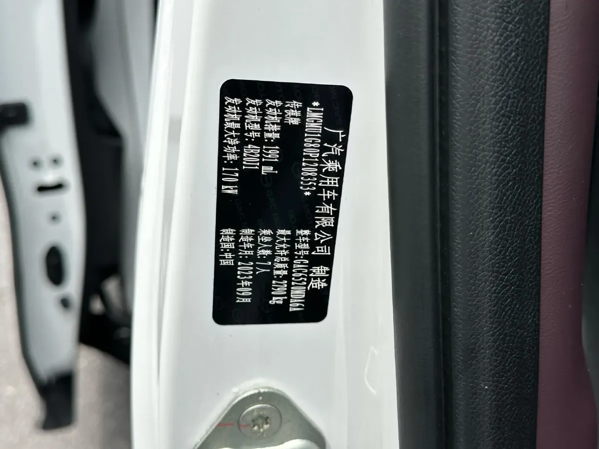 2024 GAC Trumpchi M8 2.0T 252HP L4 8AT,autocango,china used car exporter,china ev exporter,chinese used car exporter,chinese used ev exporter