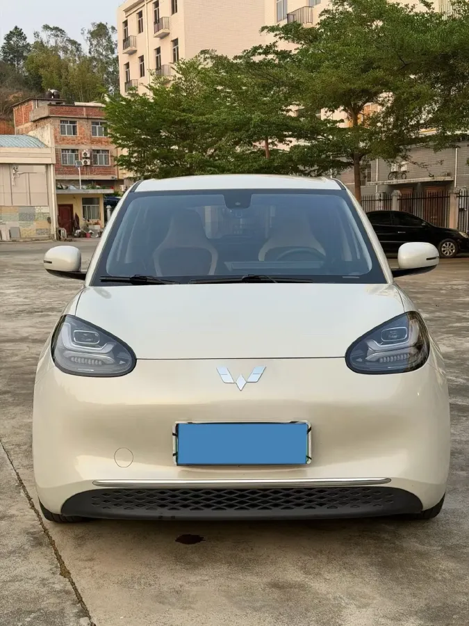 2023 WuLing BinGuo BEV 31.9KWH,autocango,china used car exporter,china ev exporter,chinese used car exporter,chinese used ev exporter