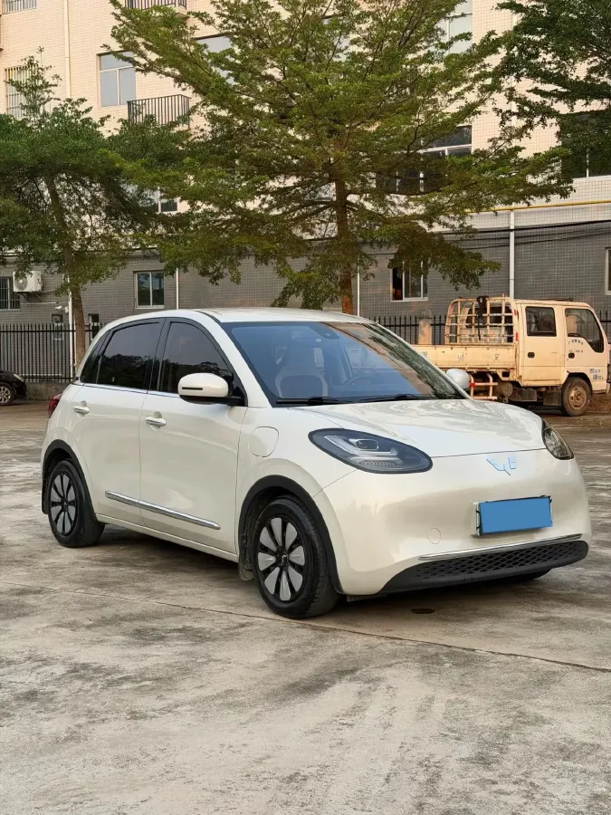 2023 WuLing BinGuo BEV 31.9KWH,autocango,china used car exporter,china ev exporter,chinese used car exporter,chinese used ev exporter