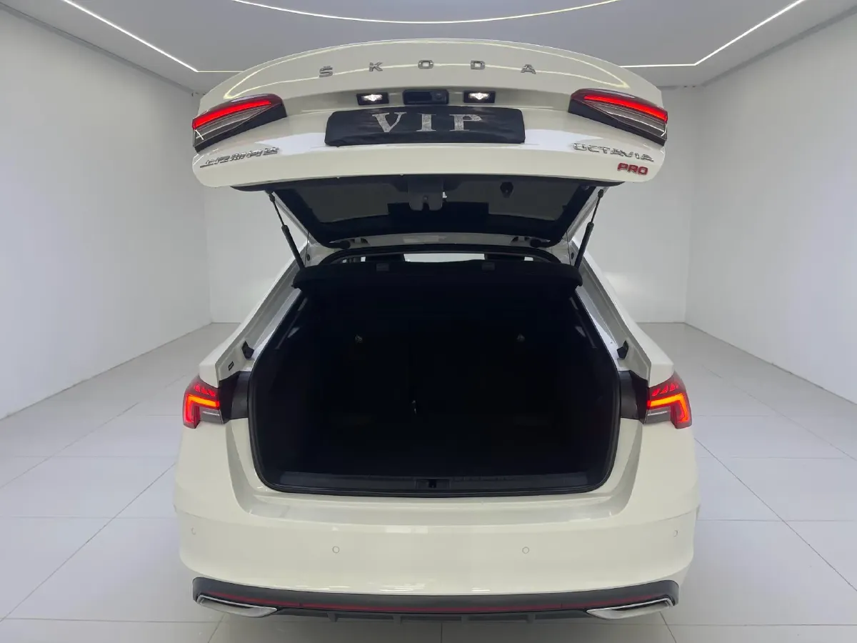 2021 Skoda Octavia 1.4T 150HP L4 7DCT,autocango,china used car exporter,china ev exporter,chinese used car exporter,chinese used ev exporter
