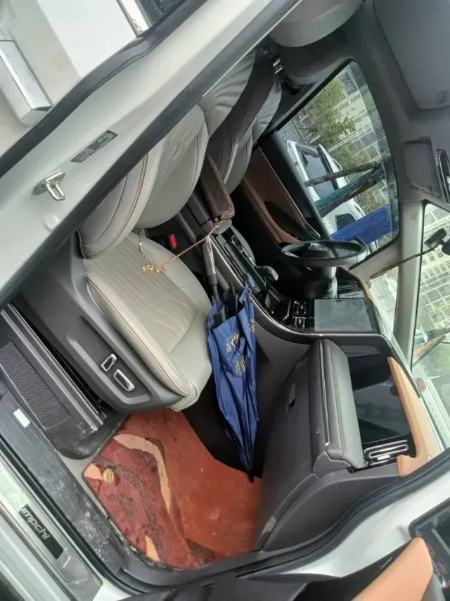 2024 GAC Trumpchi M8 2.0T 252HP L4 8AT,autocango,china used car exporter,china ev exporter,chinese used car exporter,chinese used ev exporter