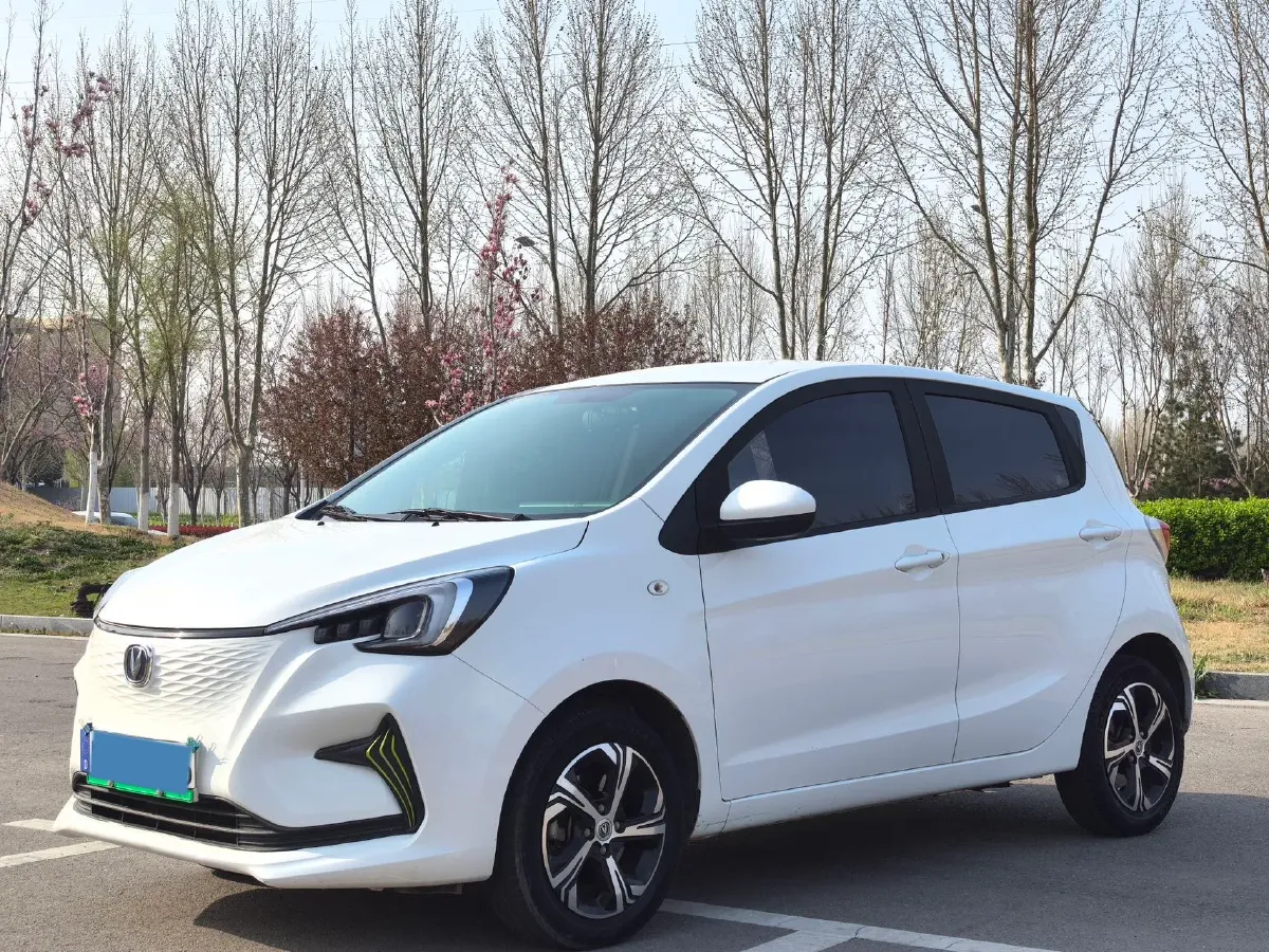 2020 ChangAn BenBen E-Star BEV 32.2KWH,autocango,china used car exporter,china ev exporter,chinese used car exporter,chinese used ev exporter
