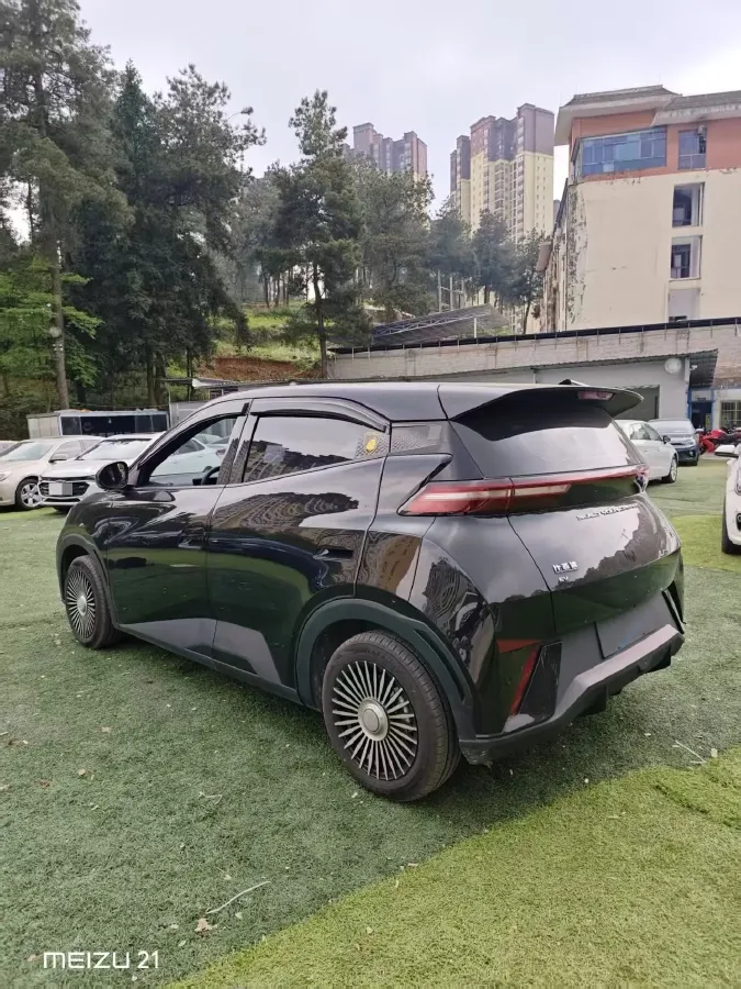 2025 BYD Seagull BEV 30.08KWH,autocango,china used car exporter,china ev exporter,chinese used car exporter,chinese used ev exporter