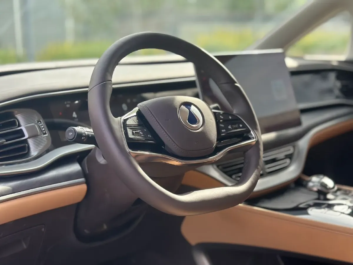 2024 Denza D9 1.5T 139HP L4 E-CVT PHEV 40KWH,autocango,china used car exporter,china ev exporter,chinese used car exporter,chinese used ev exporter