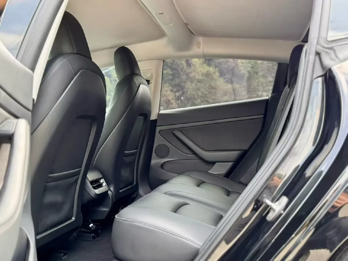 2021 Tesla Model 3 BEV 55KWH,autocango,china used car exporter,china ev exporter,chinese used car exporter,chinese used ev exporter