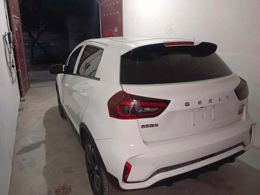 2021 Geometry EX3 BEV 37.23KWH,autocango,china used car exporter,china ev exporter,chinese used car exporter,chinese used ev exporter