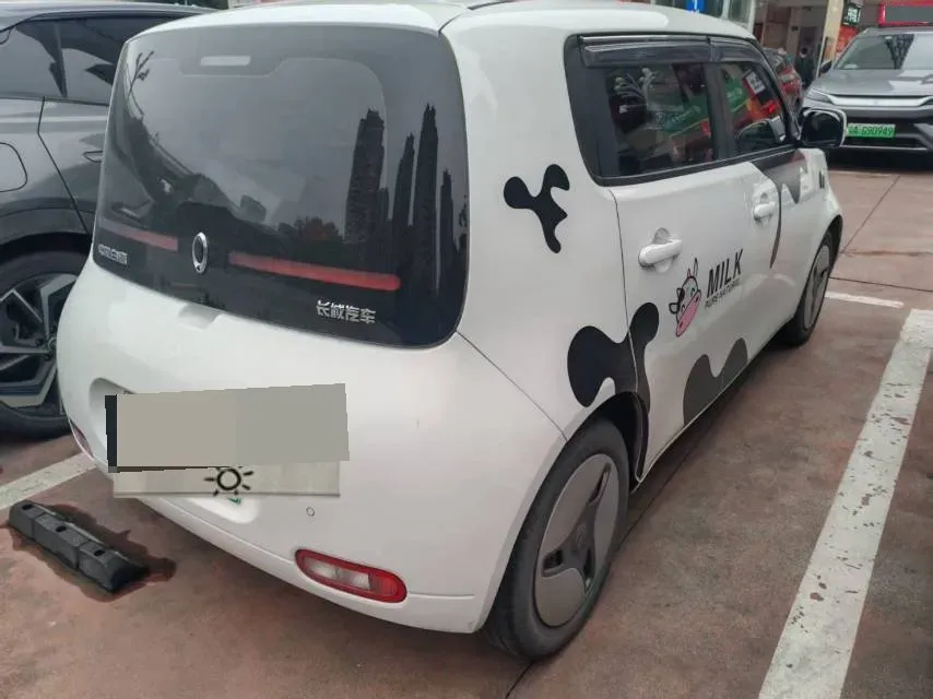 2020 Ora WhiteCat BEV 33KWH,autocango,china used car exporter,china ev exporter,chinese used car exporter,chinese used ev exporter