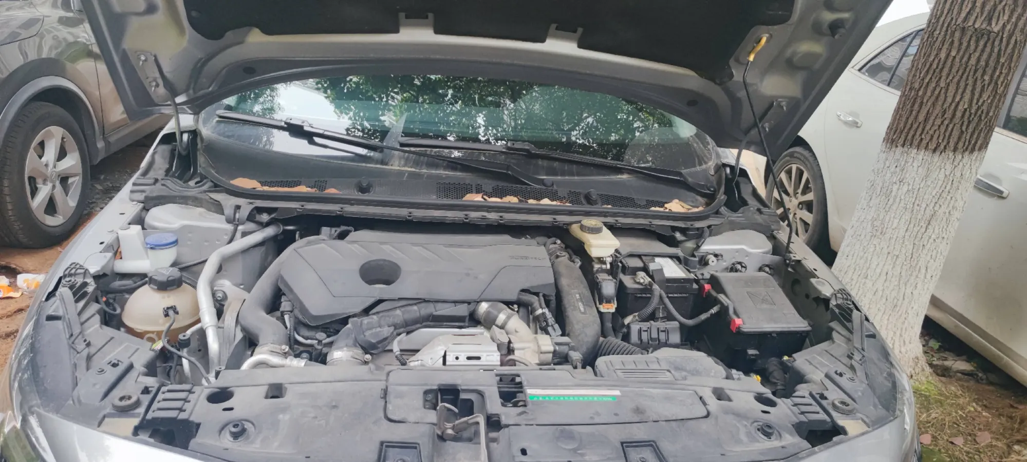 2022 Peugeot 408 1.6T 170HP L4 6AT,autocango,china used car exporter,china ev exporter,chinese used car exporter,chinese used ev exporter