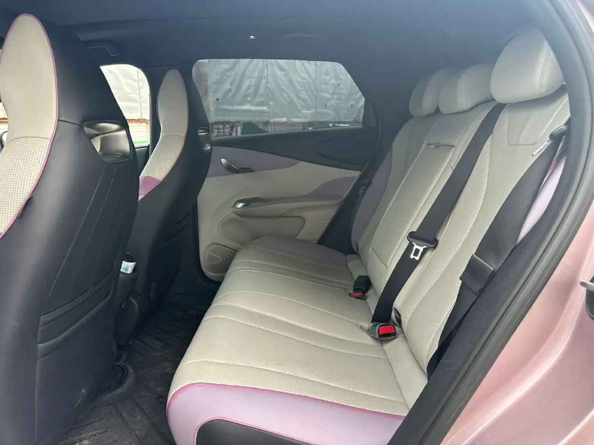 2023 BYD Dolphin BEV 44.928KWH,autocango,china used car exporter,china ev exporter,chinese used car exporter,chinese used ev exporter