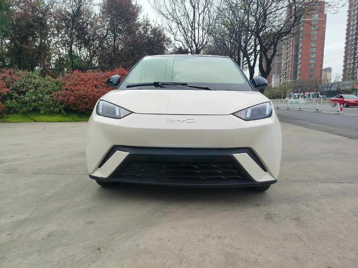 2025 BYD Seagull BEV 30.08KWH,autocango,china used car exporter,china ev exporter,chinese used car exporter,chinese used ev exporter