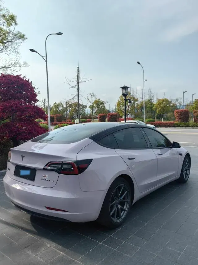 2022 Tesla Model 3 BEV 60KWH,autocango,china used car exporter,china ev exporter,chinese used car exporter,chinese used ev exporter