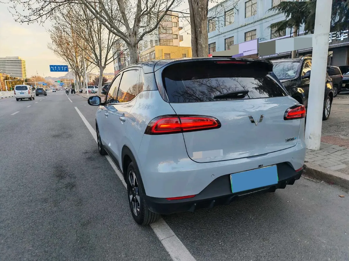 2024 WuLing BinGuoPLUS BEV 50.6KWH,autocango,china used car exporter,china ev exporter,chinese used car exporter,chinese used ev exporter