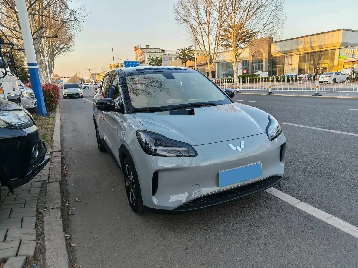 2024 WuLing BinGuoPLUS BEV 50.6KWH,autocango,china used car exporter,china ev exporter,chinese used car exporter,chinese used ev exporter