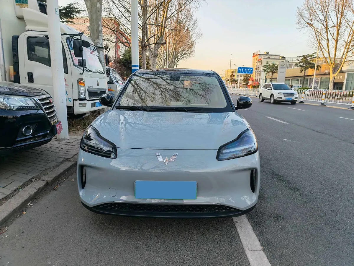 2024 WuLing BinGuoPLUS BEV 50.6KWH,autocango,china used car exporter,china ev exporter,chinese used car exporter,chinese used ev exporter