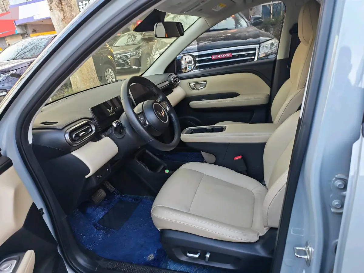 2024 WuLing BinGuoPLUS BEV 50.6KWH,autocango,china used car exporter,china ev exporter,chinese used car exporter,chinese used ev exporter