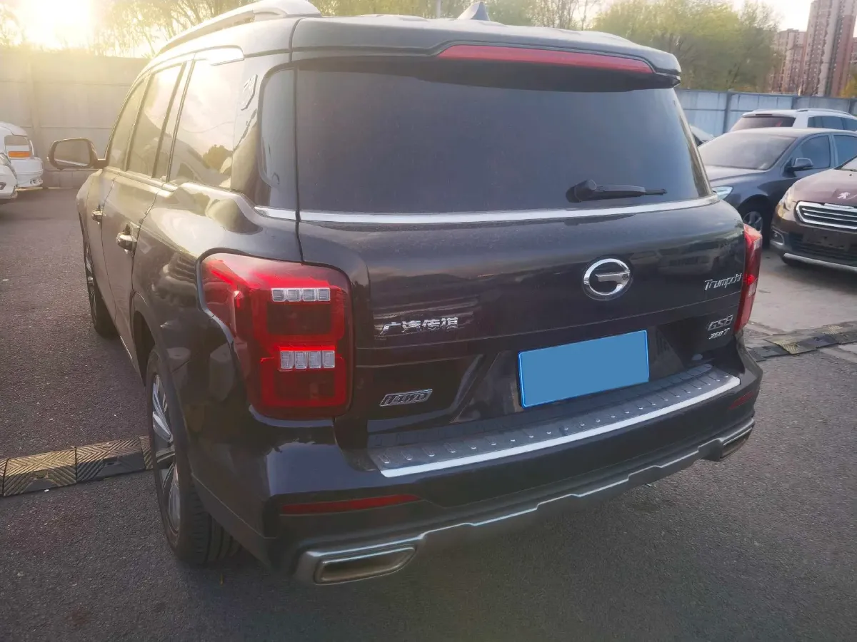 2020 GAC Trumpchi GS8 2.0T 252HP L4 6AT,autocango,china used car exporter,china ev exporter,chinese used car exporter,chinese used ev exporter