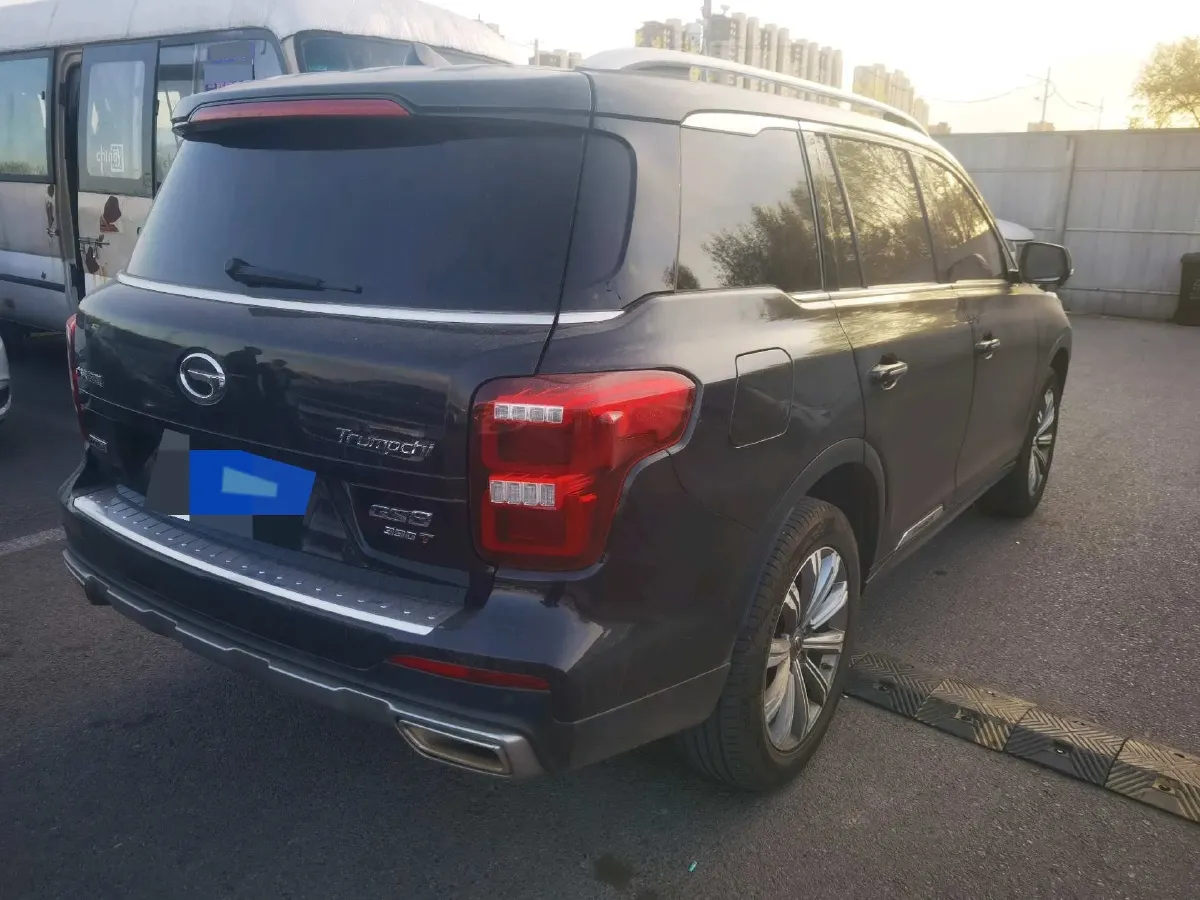 2020 GAC Trumpchi GS8 2.0T 252HP L4 6AT,autocango,china used car exporter,china ev exporter,chinese used car exporter,chinese used ev exporter