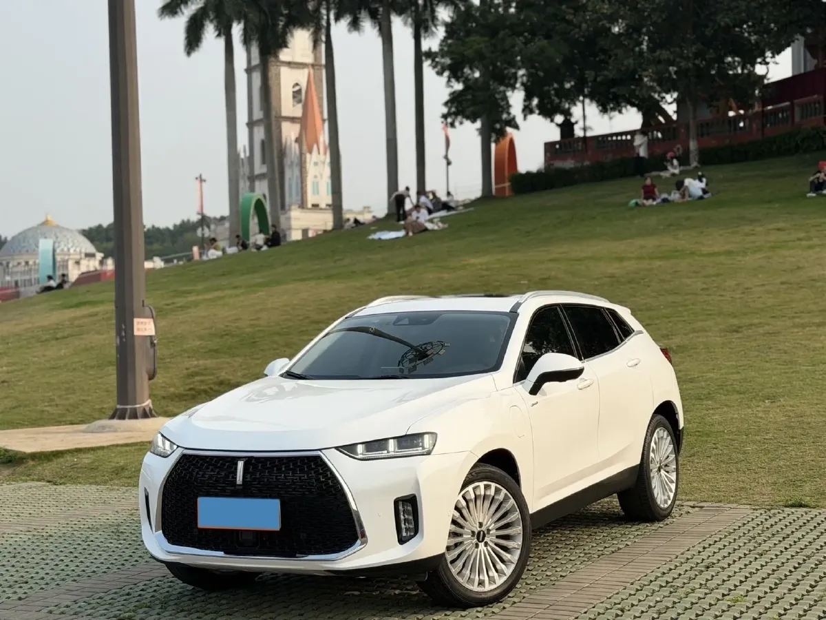 2018 WEY P8 2.0T 234HP L4 6DCT PHEV 12.96KWH,autocango,china used car exporter,china ev exporter,chinese used car exporter,chinese used ev exporter