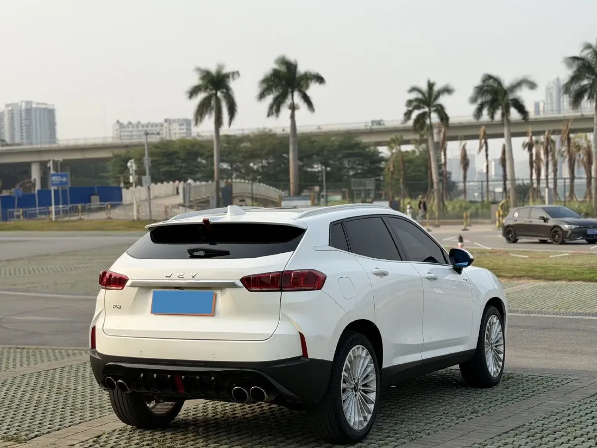2018 WEY P8 2.0T 234HP L4 6DCT PHEV 12.96KWH,autocango,china used car exporter,china ev exporter,chinese used car exporter,chinese used ev exporter