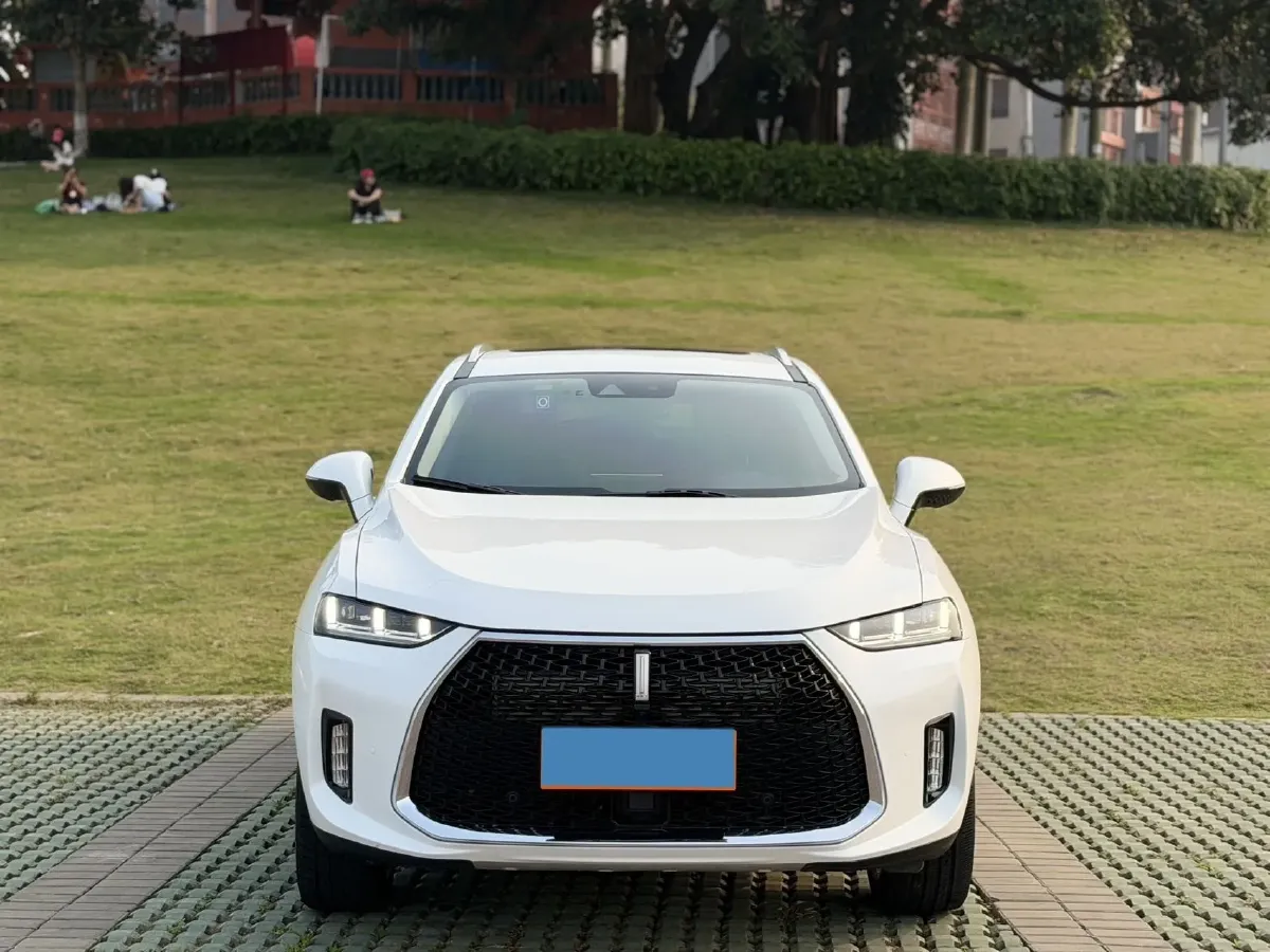 2018 WEY P8 2.0T 234HP L4 6DCT PHEV 12.96KWH,autocango,china used car exporter,china ev exporter,chinese used car exporter,chinese used ev exporter