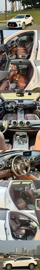 2018 WEY P8 2.0T 234HP L4 6DCT PHEV 12.96KWH,autocango,china used car exporter,china ev exporter,chinese used car exporter,chinese used ev exporter