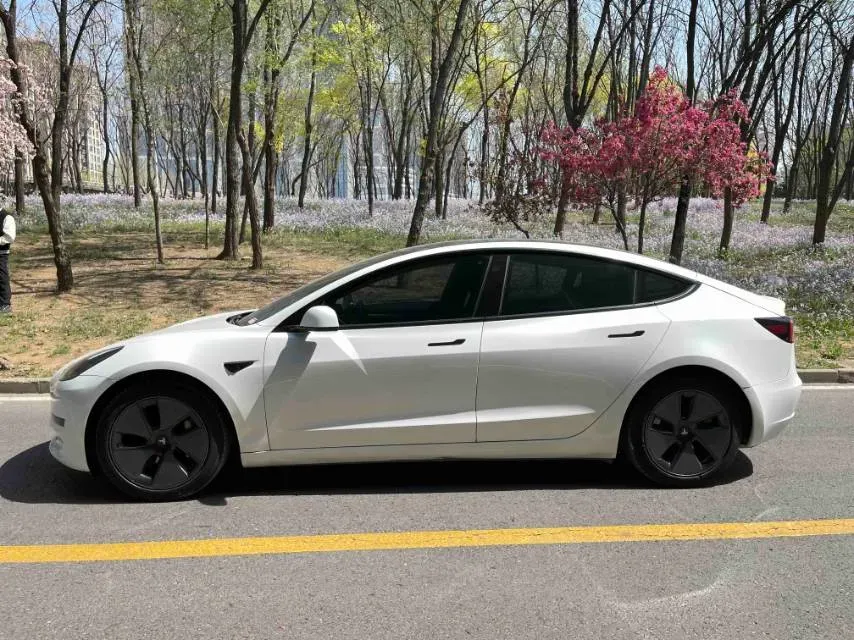 2021 Tesla Model 3 BEV 55KWH,autocango,china used car exporter,china ev exporter,chinese used car exporter,chinese used ev exporter