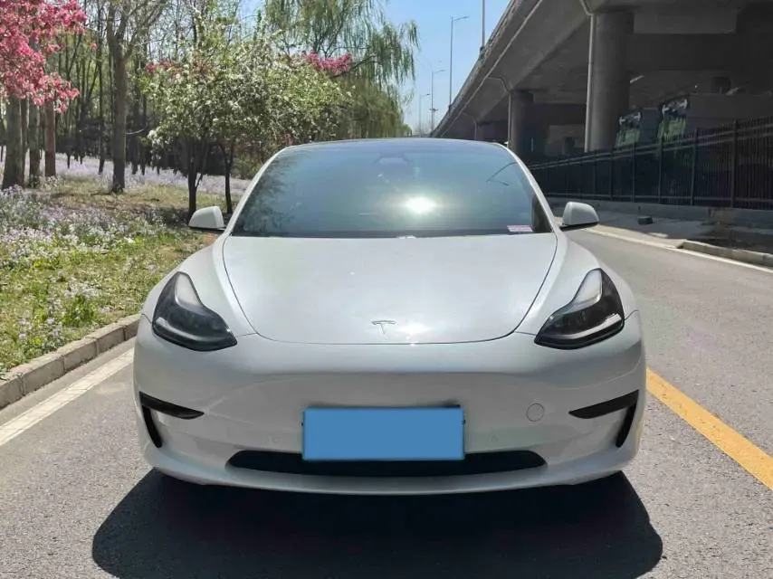 2021 Tesla Model 3 BEV 55KWH,autocango,china used car exporter,china ev exporter,chinese used car exporter,chinese used ev exporter