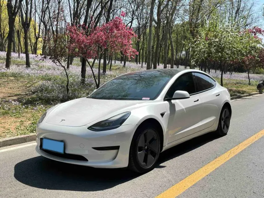 2021 Tesla Model 3 BEV 55KWH,autocango,china used car exporter,china ev exporter,chinese used car exporter,chinese used ev exporter