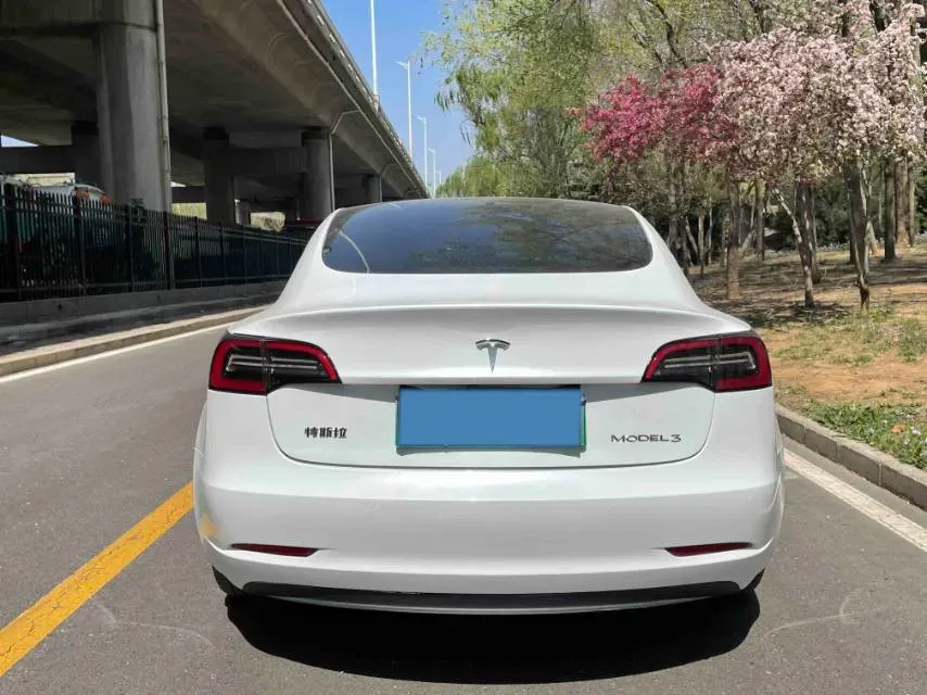 2021 Tesla Model 3 BEV 55KWH,autocango,china used car exporter,china ev exporter,chinese used car exporter,chinese used ev exporter
