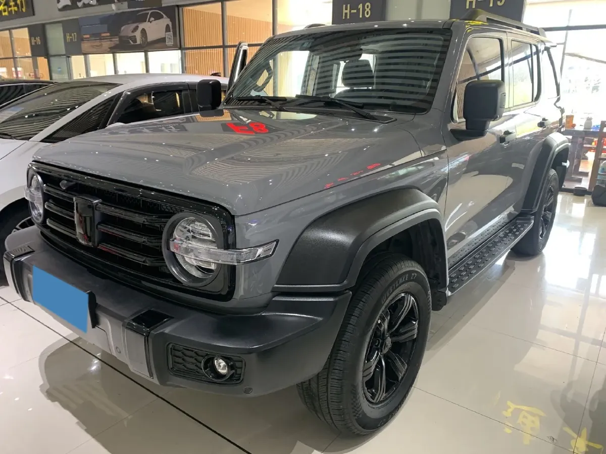 2024 Tank 300 2.0T 227HP L4 8AT,autocango,china used car exporter,china ev exporter,chinese used car exporter,chinese used ev exporter