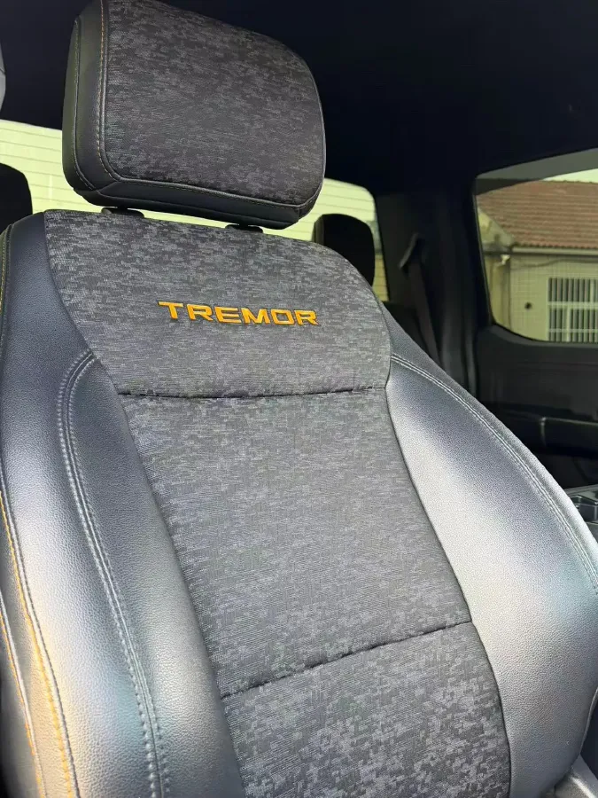 2023 Ford F-150 3.5T 423HP V6 10AT,autocango,china used car exporter,china ev exporter,chinese used car exporter,chinese used ev exporter