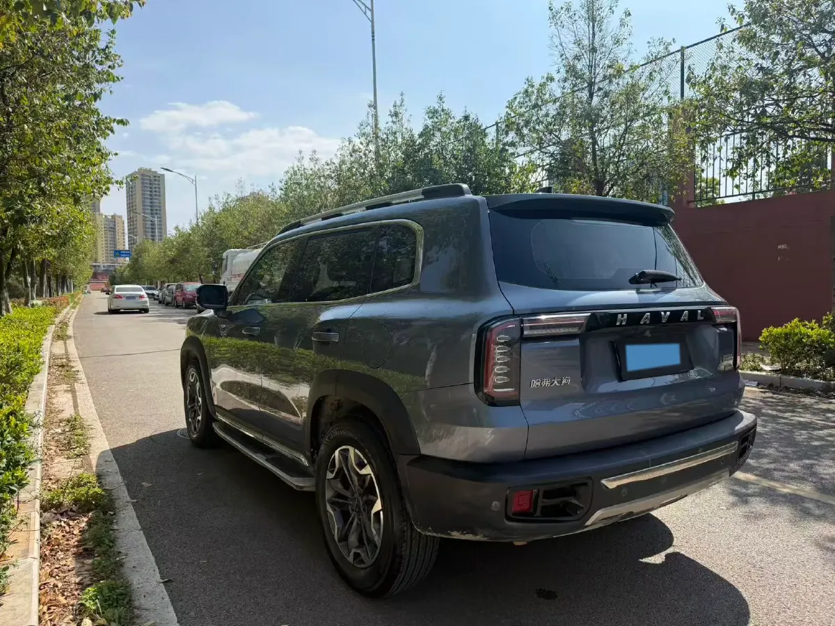 2021 Haval Dargo 2.0T 211HP L4 7DCT,autocango,china used car exporter,china ev exporter,chinese used car exporter,chinese used ev exporter