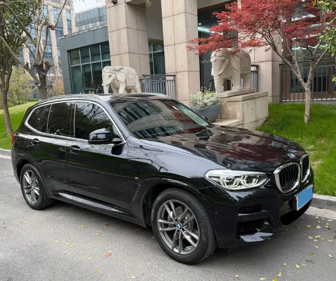 2020 BMW X3 2.0T 184HP L4 8AT,autocango,china used car exporter,china ev exporter,chinese used car exporter,chinese used ev exporter