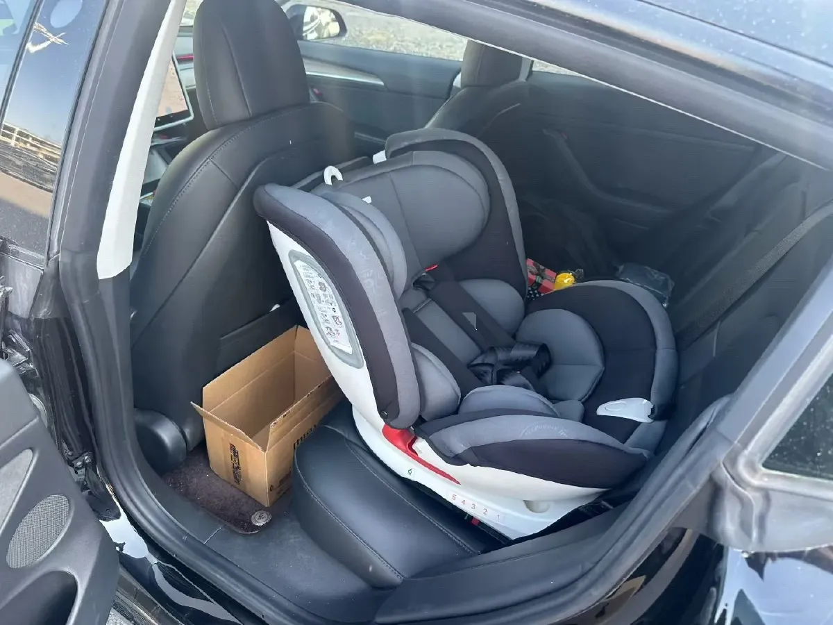 2021 Tesla Model 3 BEV 55KWH,autocango,china used car exporter,china ev exporter,chinese used car exporter,chinese used ev exporter