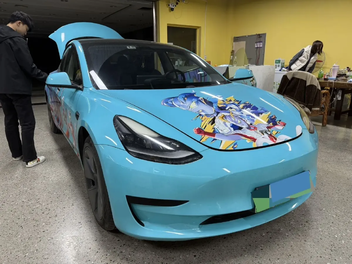 2021 Tesla Model 3 BEV 55KWH,autocango,china used car exporter,china ev exporter,chinese used car exporter,chinese used ev exporter