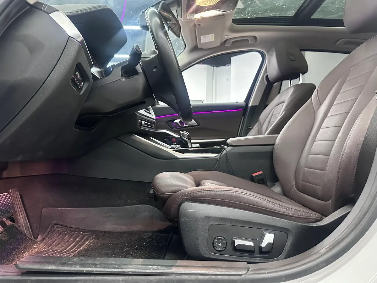 2020 BMW 3 Series 2.0T 156HP L4 8AT,autocango,china used car exporter,china ev exporter,chinese used car exporter,chinese used ev exporter