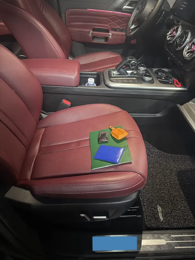 2024 Tank 300 2.0T 227HP L4 8AT,autocango,china used car exporter,china ev exporter,chinese used car exporter,chinese used ev exporter