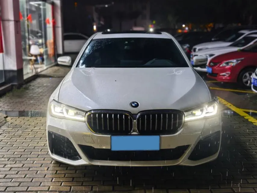 2021 BMW 5 Series 2.0T 252HP L4 8AT,autocango,china used car exporter,china ev exporter,chinese used car exporter,chinese used ev exporter