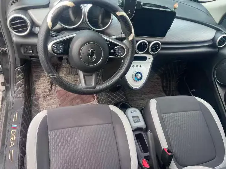 2021 Ora BlackCat BEV 28.5KWH,autocango,china used car exporter,china ev exporter,chinese used car exporter,chinese used ev exporter