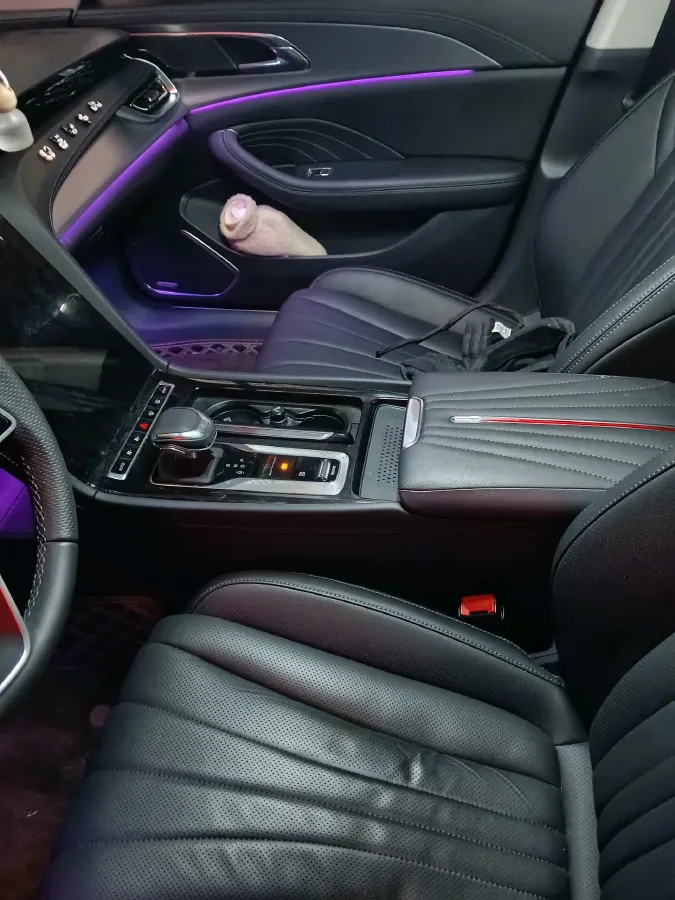 2024 HongQi H5 2.0T 224HP L4 8AT,autocango,china used car exporter,china ev exporter,chinese used car exporter,chinese used ev exporter