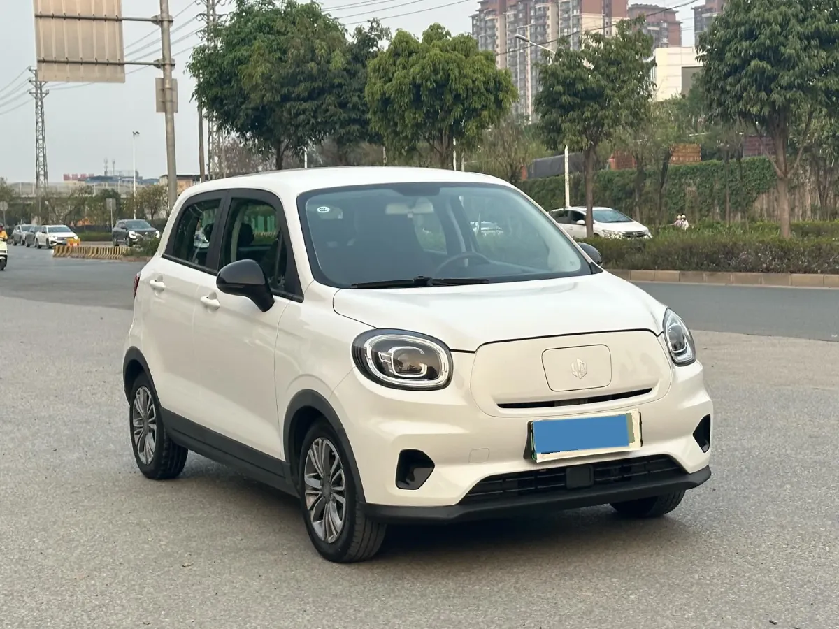 2021 Leapmotor T03 BEV 38KWH,autocango,china used car exporter,china ev exporter,chinese used car exporter,chinese used ev exporter