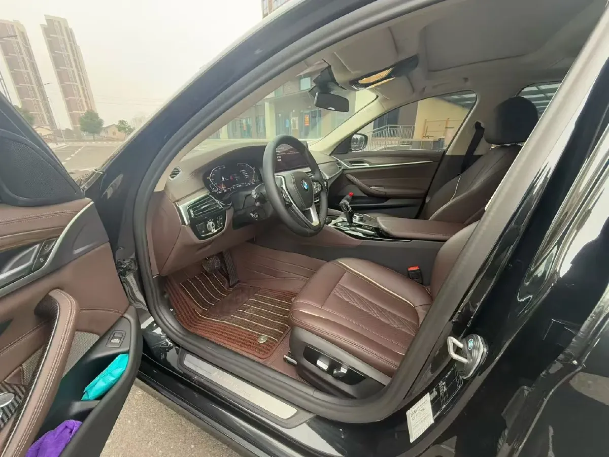 2021 BMW 5 Series 2.0T 252HP L4 8AT,autocango,china used car exporter,china ev exporter,chinese used car exporter,chinese used ev exporter