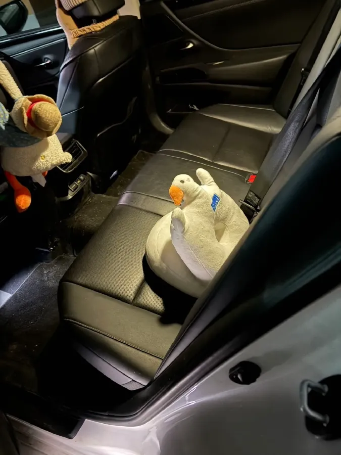 2020 Lexus ES 2.5L 178HP L4 E-CVT Hybrid,autocango,china used car exporter,china ev exporter,chinese used car exporter,chinese used ev exporter