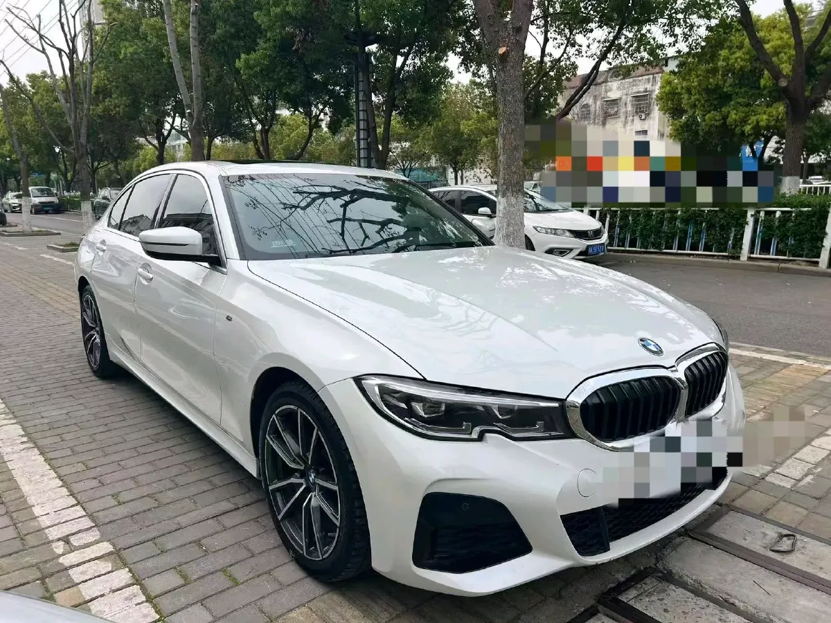2021 BMW 3 Series 2.0T 156HP L4 8AT,autocango,china used car exporter,china ev exporter,chinese used car exporter,chinese used ev exporter