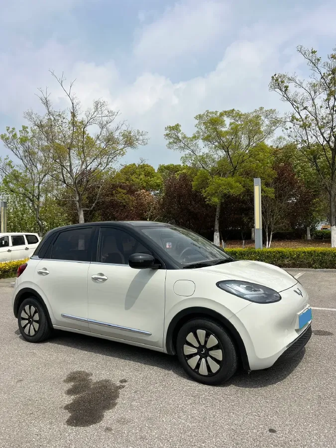 2023 WuLing BinGuo BEV 31.9KWH,autocango,china used car exporter,china ev exporter,chinese used car exporter,chinese used ev exporter