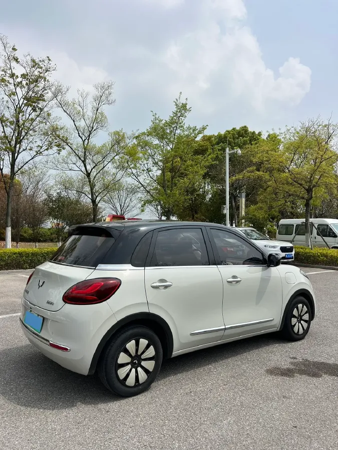 2023 WuLing BinGuo BEV 31.9KWH,autocango,china used car exporter,china ev exporter,chinese used car exporter,chinese used ev exporter