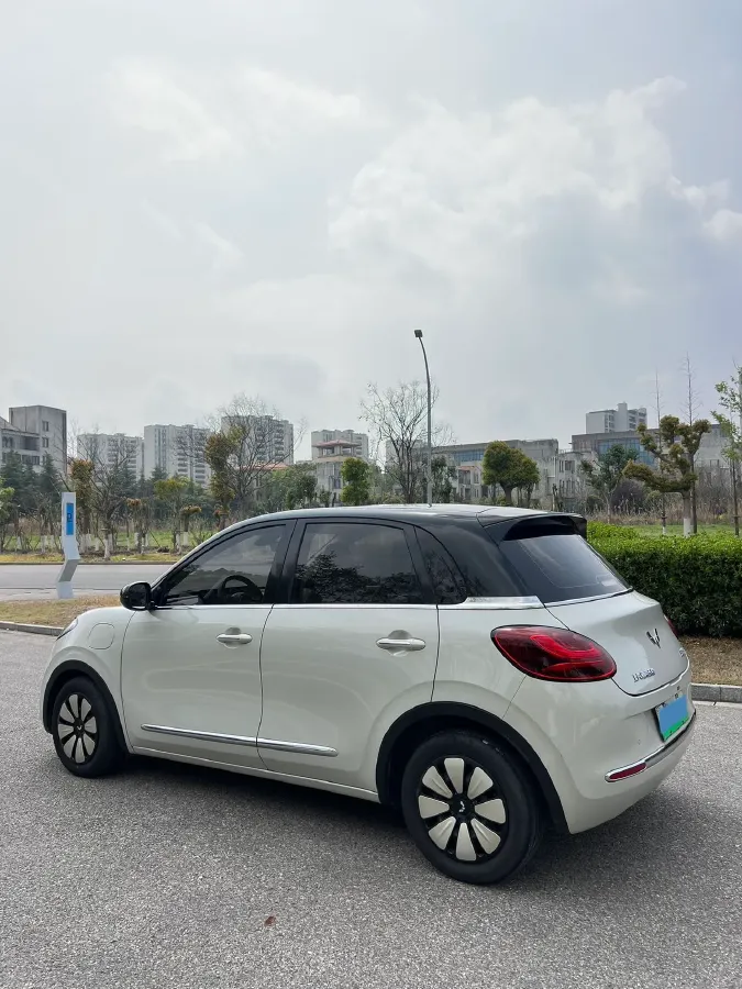 2023 WuLing BinGuo BEV 31.9KWH,autocango,china used car exporter,china ev exporter,chinese used car exporter,chinese used ev exporter