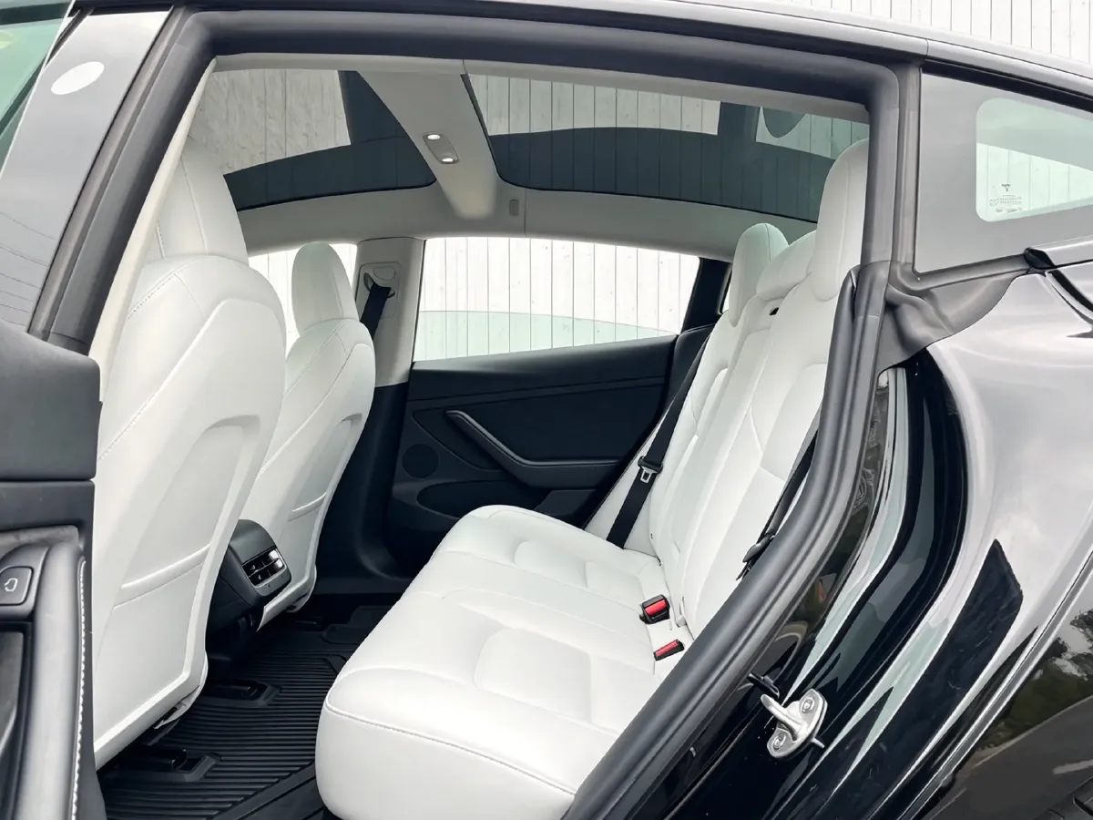 2021 Tesla Model 3 BEV 55KWH,autocango,china used car exporter,china ev exporter,chinese used car exporter,chinese used ev exporter