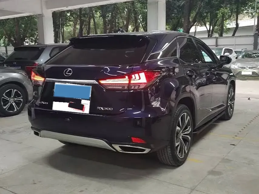 2020 Lexus RX 2.0T 231HP L4 6AT,autocango,china used car exporter,china ev exporter,chinese used car exporter,chinese used ev exporter