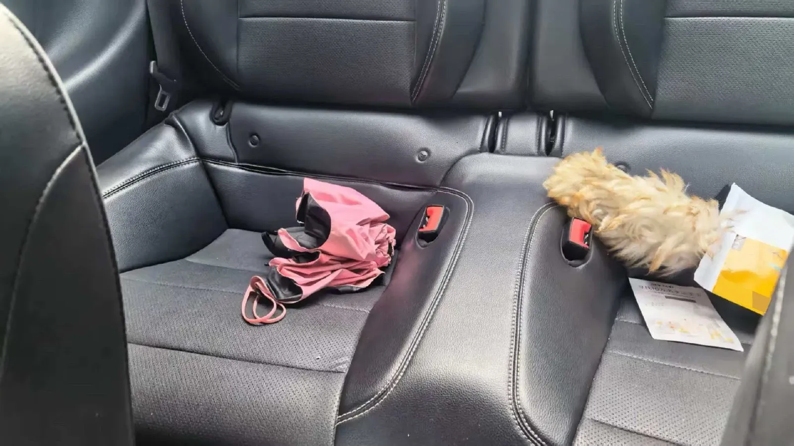 2019 BMW X2 1.5T 140HP L3 7DCT,autocango,china used car exporter,china ev exporter,chinese used car exporter,chinese used ev exporter